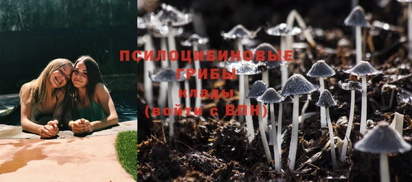 прущая мука Михайловка