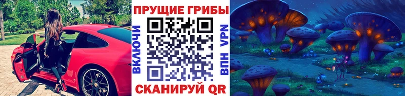 Псилоцибиновые грибы мицелий  Таганрог 