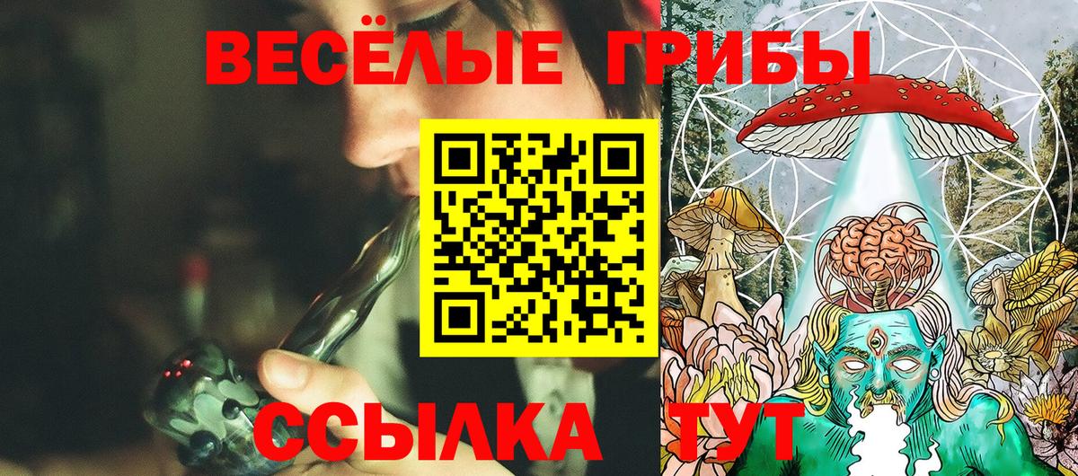 Таганрог  Псилоцибиновые грибы ЛСД  Вход с VPN 