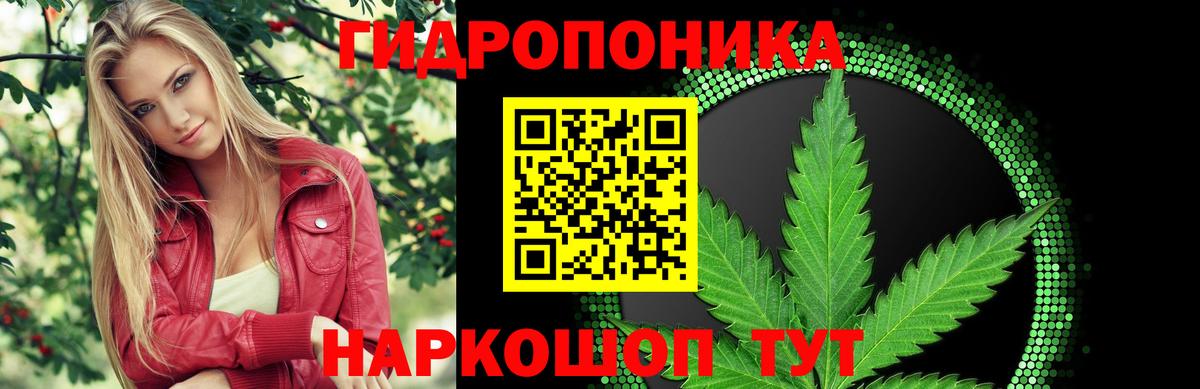 Бошки марихуана SATIVA & INDICA  Марихуана индика  Марихуана VHQ  Таганрог  Вход с VPN  Шишки марихуана марихуана 
